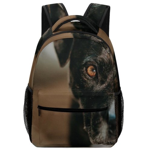 yanfind Children's Backpack Dog Free Stock Wallpapers Images Hound Pictures Pet Preschool Nursery Travel Bag