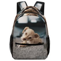 yanfind Children's Backpack  Focus Dog Rug Little Depth Face Field Pet Carpet Adorable Cute Preschool Nursery Travel Bag