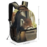yanfind Children's Backpack Funny Outdoors Cute Cat Baby Cage  Portrait Grass Fur Wild Dog Preschool Nursery Travel Bag
