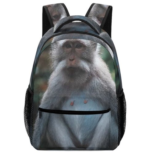 yanfind Children's Backpack Indonesien Ubud Gianyar Wildlife Free Monkey Wallpapers Baboon Images Bali Pictures Preschool Nursery Travel Bag