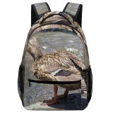 yanfind Children's Backpack Duck Rock Bird Vertebrate Beak Ducks Geese Swans Waterfowl Mallard Preschool Nursery Travel Bag