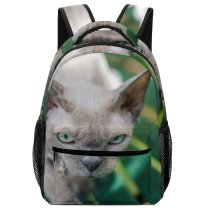 yanfind Children's Backpack  Whiskers Cat Face Bench Hunter Portrait Pet Tabby Curiosity Evil Outdoors Preschool Nursery Travel Bag