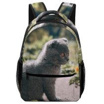 yanfind Children's Backpack Pet Outdoors Felidae Tabby Whiskers Outside Field Cute Focus  Adorable Furry Preschool Nursery Travel Bag
