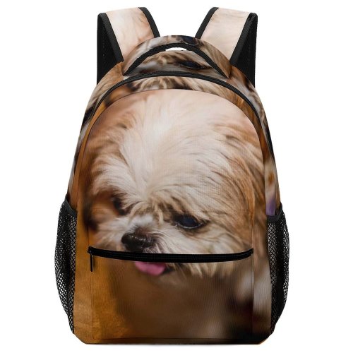 yanfind Children's Backpack Dog Pet Free Pictures Images Puppies Preschool Nursery Travel Bag