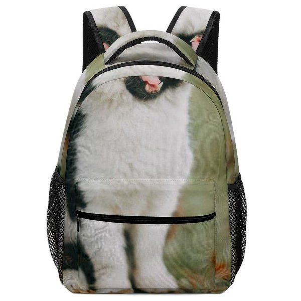 yanfind Children's Backpack Yell Meow Cat Little Roar Grass Kitten Bicolor Pet Fur Whiskers Yelling Preschool Nursery Travel Bag