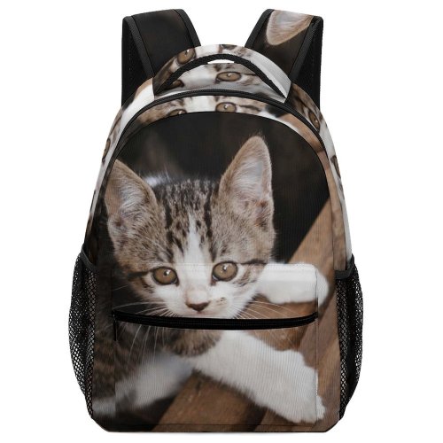 yanfind Children's Backpack Young Stripe Funny Kitten Wood Portrait Curiosity Cute Little Sit Cat Preschool Nursery Travel Bag