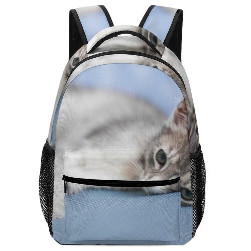 yanfind Children's Backpack Funny Curiosity Cute Cat Young Little  Portrait Tabby Pet Whisker Downy Preschool Nursery Travel Bag