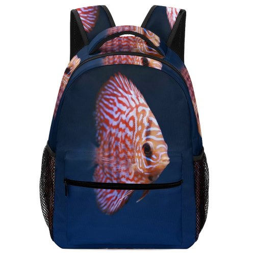 yanfind Children's Backpack Biology Beautiful  Underwater Aquatic Marine Aquarium Wildlife Salt Sea  Fish Preschool Nursery Travel Bag