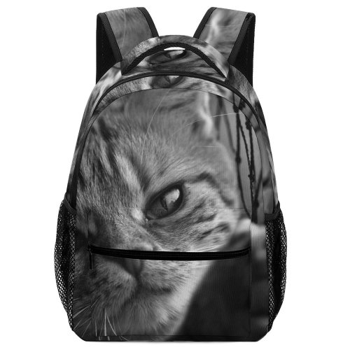 yanfind Children's Backpack Kitty Leaning  Pet Chain Fence Tabby Cute Adorable Face Cat Preschool Nursery Travel Bag