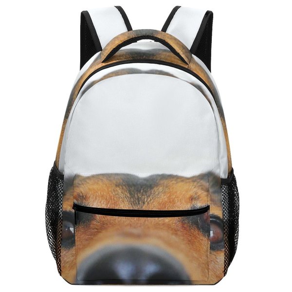 yanfind Children's Backpack  Focus Dog Desktop Face Ears Portrait Pet Fur Adorable Cute Puppy Preschool Nursery Travel Bag