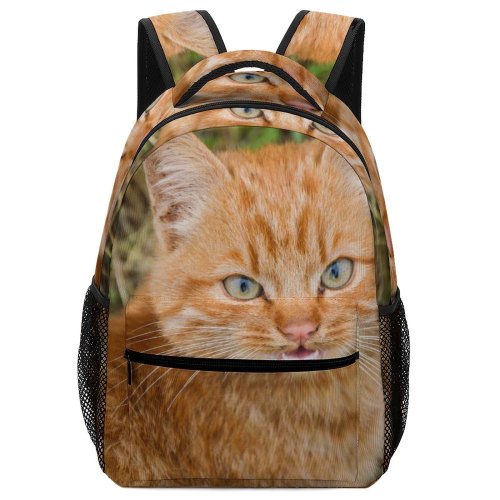 yanfind Children's Backpack Funny Curiosity Outdoors Little  Staring Grass Whisker Downy Portrait Preschool Nursery Travel Bag