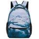 yanfind Children's Backpack Arctic Drone  Iceland Mist  Snow Fog Free Winter Preschool Nursery Travel Bag