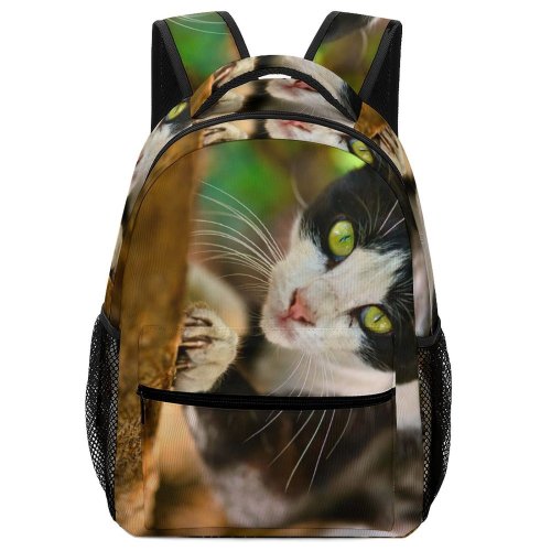 yanfind Children's Backpack Pet Funny Outdoors Kitten Portrait Wildlife Curiosity Cute Furry Face  Whisker Preschool Nursery Travel Bag