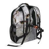 yanfind Children's Backpack Young Grey Pet Funny Kitten Portrait Tabby Cute  Whisker Downy Fur Preschool Nursery Travel Bag