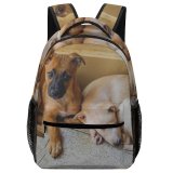 yanfind Children's Backpack  Serene Friendly Sweet Together Melancholy Sleep Dog Charming Sad Home Contemplate Preschool Nursery Travel Bag