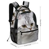 yanfind Children's Backpack Young Grey Pet Funny Kitten Portrait Tabby Cute  Whisker Downy Fur Preschool Nursery Travel Bag