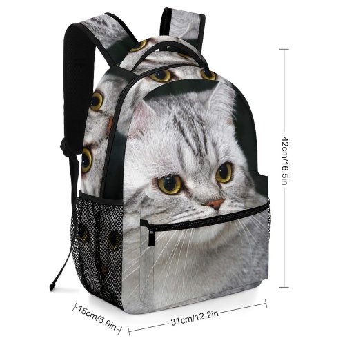 yanfind Children's Backpack Young Grey Pet Funny Kitten Portrait Tabby Cute  Whisker Downy Fur Preschool Nursery Travel Bag