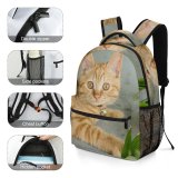 yanfind Children's Backpack Plant Eyes Kitty Pet Kitten Whiskers Cute Focus Little Furry Face Pavement Preschool Nursery Travel Bag