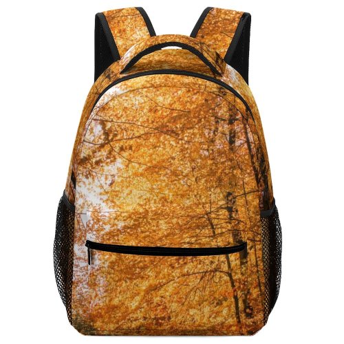 yanfind Children's Backpack Netherlands. Arnhem. Scenery Tree Dutch Nederlands Plant Leaf Hoeferlaan Free Trunk Preschool Nursery Travel Bag