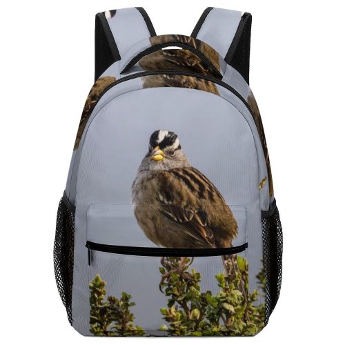 yanfind Children's Backpack Birds Anthus Sparrow Plant Jar Pottery Vase Potted Finch Planter Buzzard Hawk Preschool Nursery Travel Bag