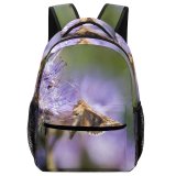 yanfind Children's Backpack Bee Honey Insect Thistle  Butterfly Flower Invertebrate Plant Macro Flying Wing Preschool Nursery Travel Bag