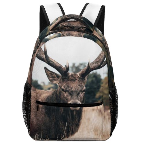 yanfind Children's Backpack Reindeer Deer Antlers London Grass Wildlife Preschool Nursery Travel Bag