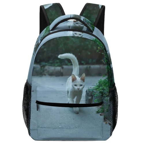 yanfind Children's Backpack Kitty Grass Pet Outdoors Street Kitten Cute Adorable Plants Tail Road Landscape Preschool Nursery Travel Bag