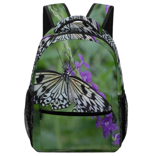 yanfind Children's Backpack Butterfly Insect Invertebrate Birds Monarch Kite Tree Nymph Idea Leuconoe Nymphalidae Rice Preschool Nursery Travel Bag