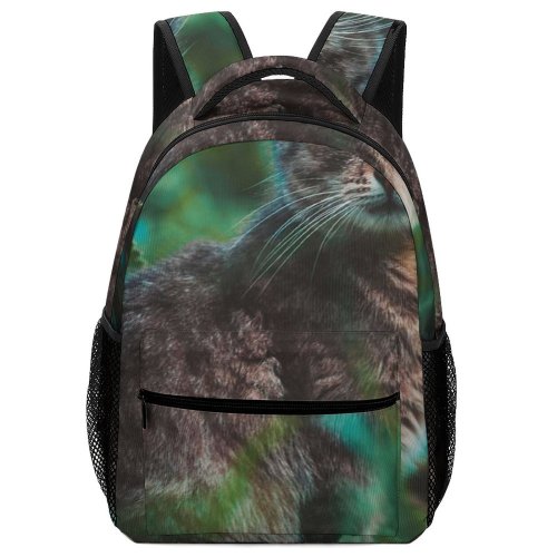 yanfind Children's Backpack Pet Funny Outdoors Kitten Tabby Portrait Wildlife Curiosity Cute Cat Pretty Preschool Nursery Travel Bag