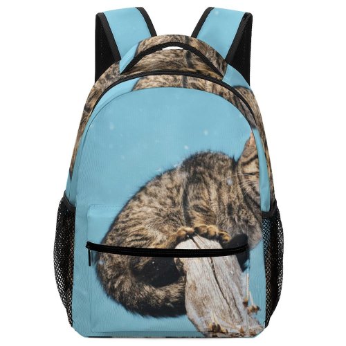 yanfind Children's Backpack Outdoors Cat Felidae Tabby Climb Fur Whiskers Preschool Nursery Travel Bag