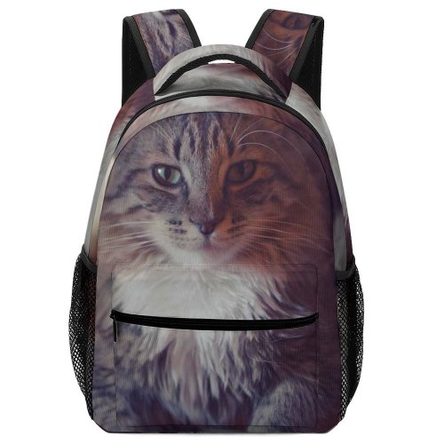 yanfind Children's Backpack Young Stripe Pet Funny Kitten Portrait Tabby Curiosity Cute Staring Sit Cat Preschool Nursery Travel Bag