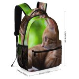 yanfind Children's Backpack Funny Curiosity Sit Cute Sleep Cat Young Little  Portrait Pet Whisker Preschool Nursery Travel Bag