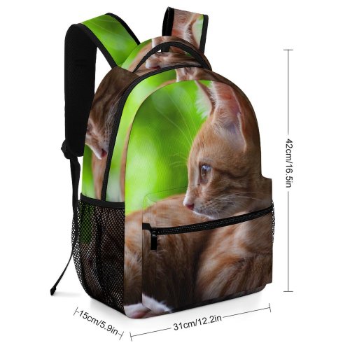 yanfind Children's Backpack Funny Curiosity Sit Cute Sleep Cat Young Little  Portrait Pet Whisker Preschool Nursery Travel Bag