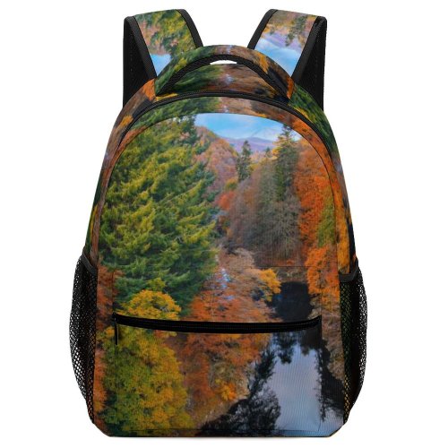 yanfind Children's Backpack Abies Scenery Tree Autum Plant Leaf Fir Scotland Fall Outdoors Preschool Nursery Travel Bag