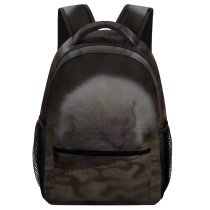 yanfind Children's Backpack Images Free Cat Pictures Wallpapers Pet Grey Kitten Preschool Nursery Travel Bag