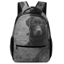 yanfind Children's Backpack Dog Wildlife Free Wallpapers  Bw Images Pictures  Pet Grey Preschool Nursery Travel Bag