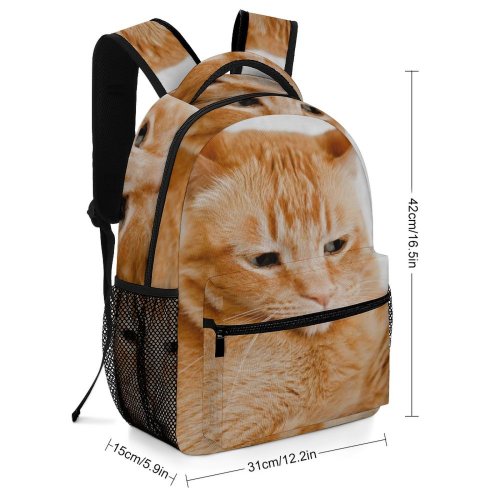 yanfind Children's Backpack Funny Curiosity Sit Cute Little Young  Portrait Kitten Pet Whisker Downy Preschool Nursery Travel Bag