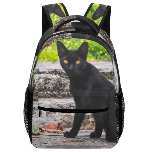 yanfind Children's Backpack Grass Pet Wild Outdoors Kitten Portrait Wildlife Cute Sit Cat  Whisker Preschool Nursery Travel Bag