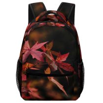 yanfind Children's Backpack Colours Plant Domain Pictures Tree Leaves Maple Public Zealand Autumn Images Preschool Nursery Travel Bag