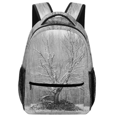 yanfind Children's Backpack Grey Outdoors Snow Blizzard Storm Winter  Plant Vegetation Tree Forest Land Preschool Nursery Travel Bag