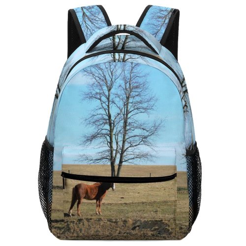 yanfind Children's Backpack Field Outdoors Grassland Rural Countryside Farm Horse Pasture Meadow Ranch Gloucester County Preschool Nursery Travel Bag