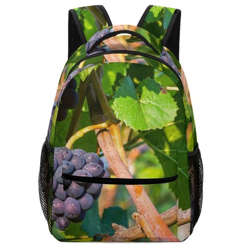 yanfind Children's Backpack Flora Fruits Grapes Plant Produce  Leaf Weiningen Switzerland Annonaceae Tree Stem Preschool Nursery Travel Bag