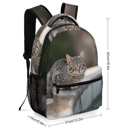 yanfind Children's Backpack Funny Curiosity Outdoors Focus Little Young  Pretty Staring Preschool Nursery Travel Bag