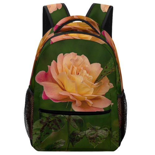 yanfind Children's Backpack Free Flower Petal Rose Plant  Luton Acanthaceae Uk Images Leaf Preschool Nursery Travel Bag