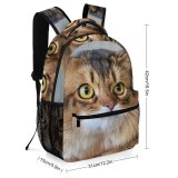 yanfind Children's Backpack Young Pet Kitten Portrait Tabby Curiosity Cute Little Adorable Staring  Whisker Preschool Nursery Travel Bag