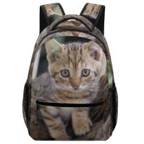 yanfind Children's Backpack Young Tree Pet Kitten Portrait Cute Little  Adorable Furry Cat Fur Preschool Nursery Travel Bag