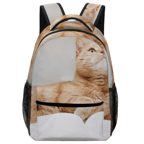 yanfind Children's Backpack Funny Curiosity Sit Cute Little Young  Studio Portrait Family Kitten Whisker Preschool Nursery Travel Bag