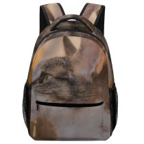 yanfind Children's Backpack Decor Pet Free Pictures Home Abyssinian Cat Images Manx Preschool Nursery Travel Bag