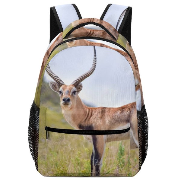 yanfind Children's Backpack Grassland Barbaric Outdoors Cute Impala Alert Deer Gazelle Antelope Grass Safari Fur Preschool Nursery Travel Bag