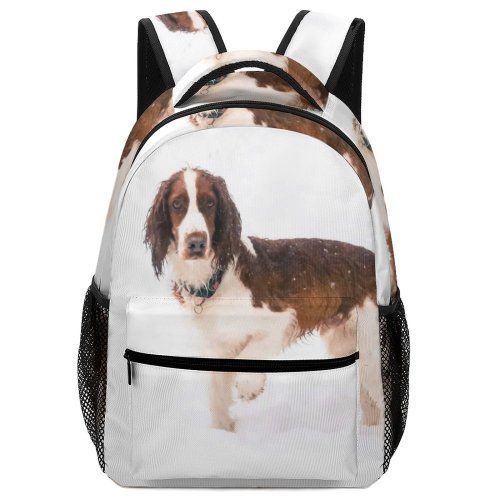 yanfind Children's Backpack Cliveden Pet United  Springer Creative Nt Snowing Pictures Spaniel Snow Preschool Nursery Travel Bag